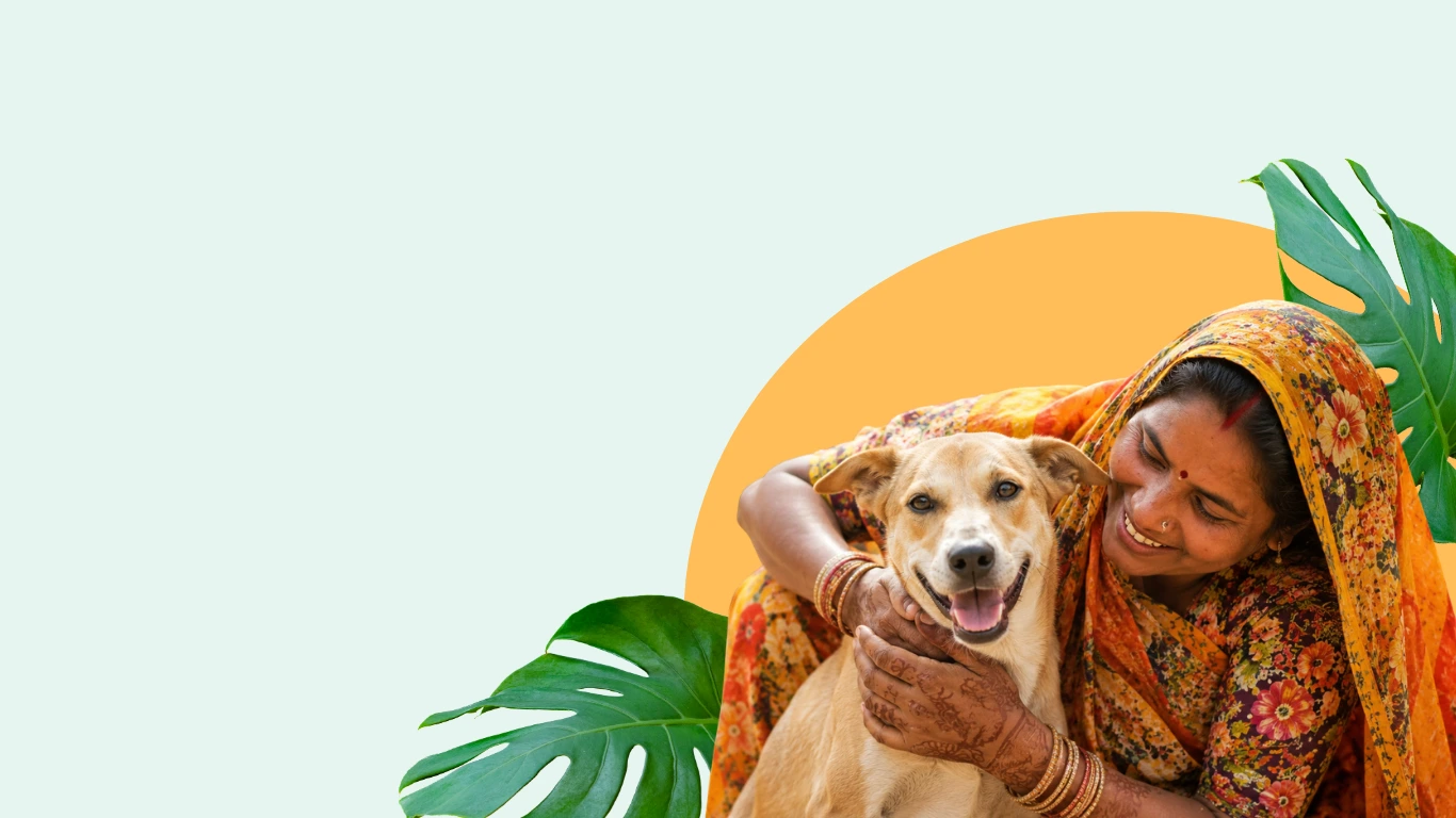Rescue Animals