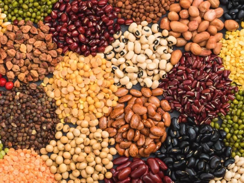 Dals (Pulses)