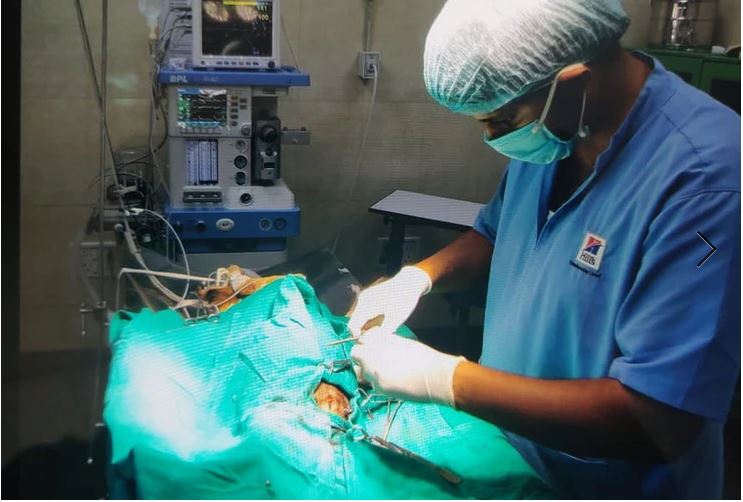 Animal Birth Control (ABC) Programme